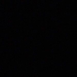 Meet your Posher, Gracee